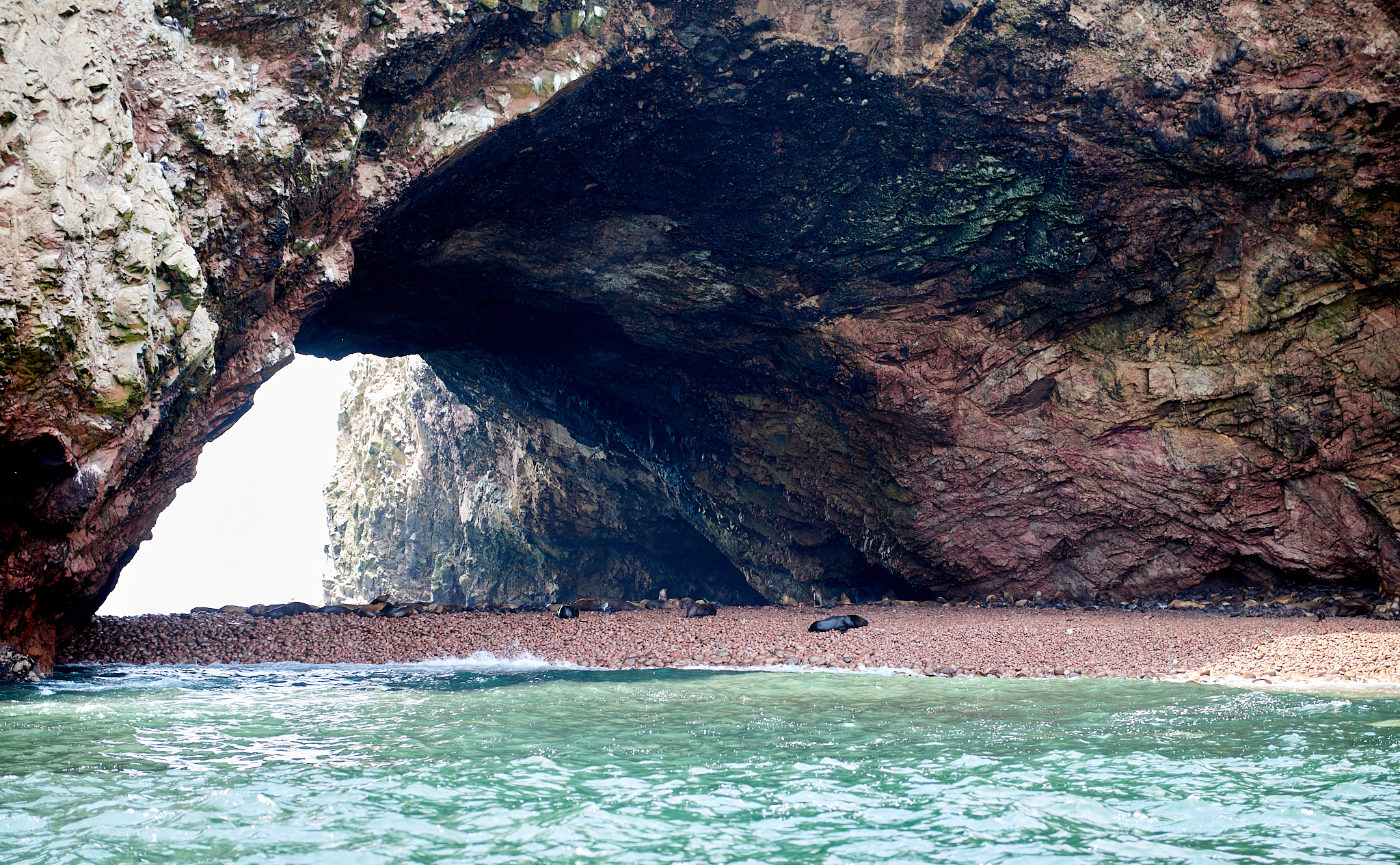 20200304 147 [페루] 바예스타섬